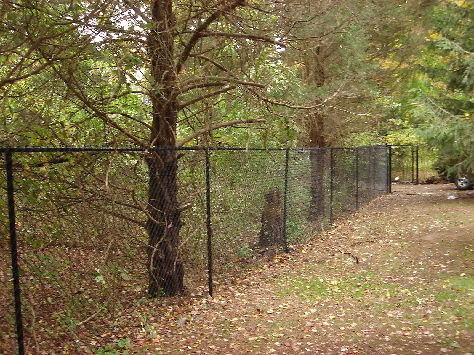 Chain Link Fence project by Excalibur Fence and Iron Works