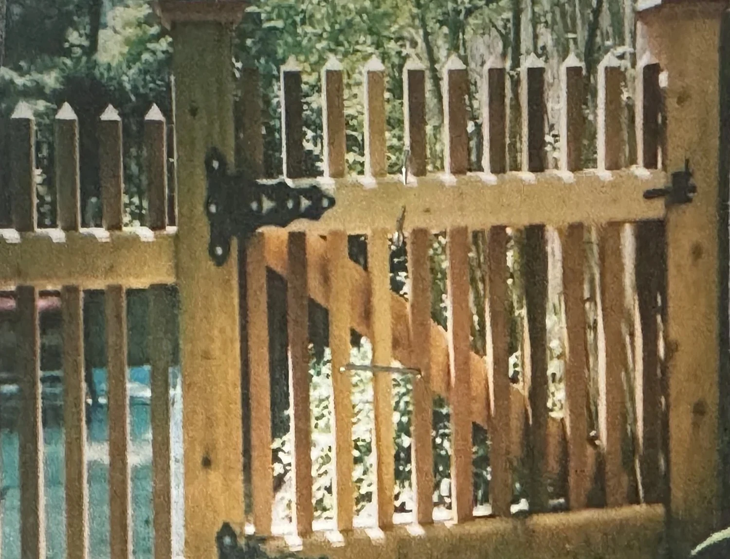 Natural cedar picket walk gate with black hardware