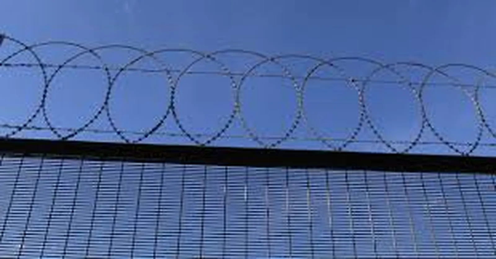 Aluminum & Security Fence project by Excalibur Fence and Iron Works