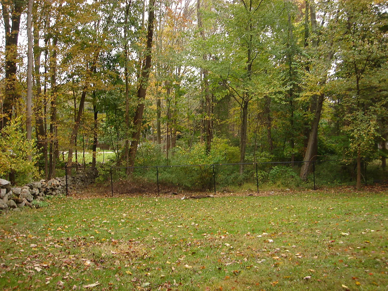 Chain Link Fence project by Excalibur Fence and Iron Works