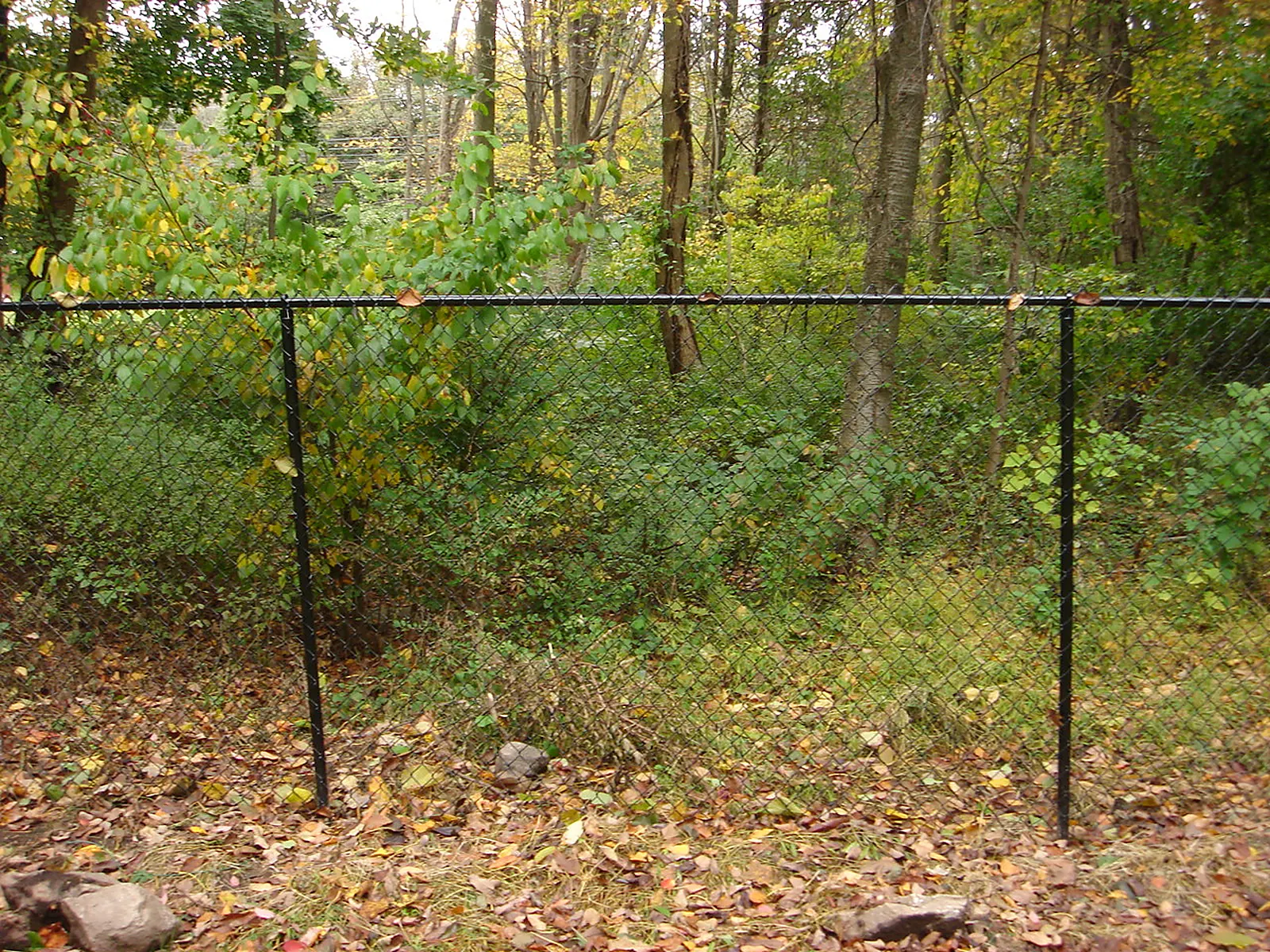 Chain Link Fence project by Excalibur Fence and Iron Works