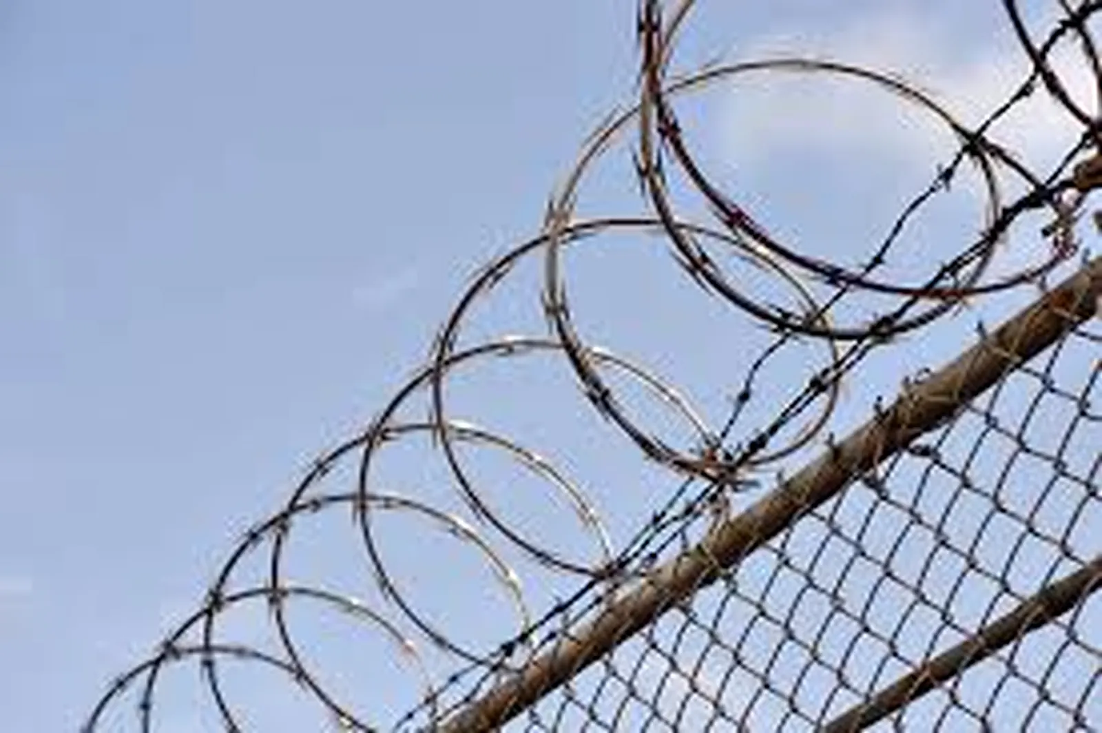 Aluminum & Security Fence project by Excalibur Fence and Iron Works