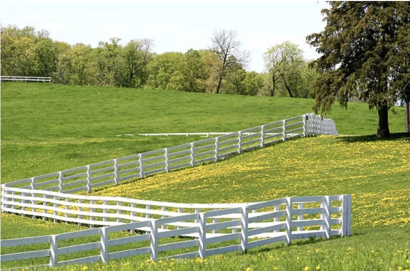Four-Rail Vinyl Paddock Fence project by Excalibur Fence and Iron Works